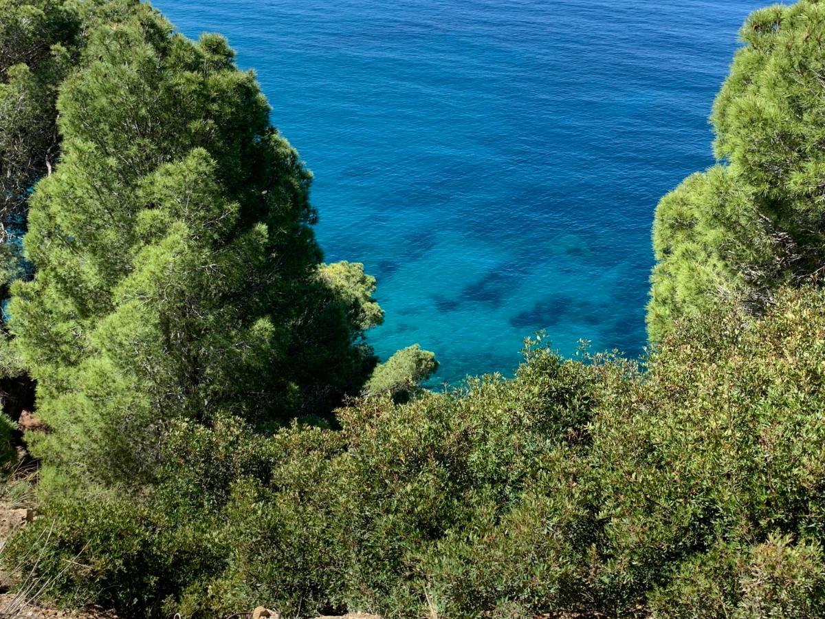 Casa Trezeni Daire Santa Maria di Castellabate Dış mekan fotoğraf