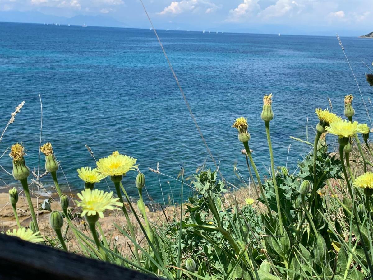 Casa Trezeni Daire Santa Maria di Castellabate Dış mekan fotoğraf